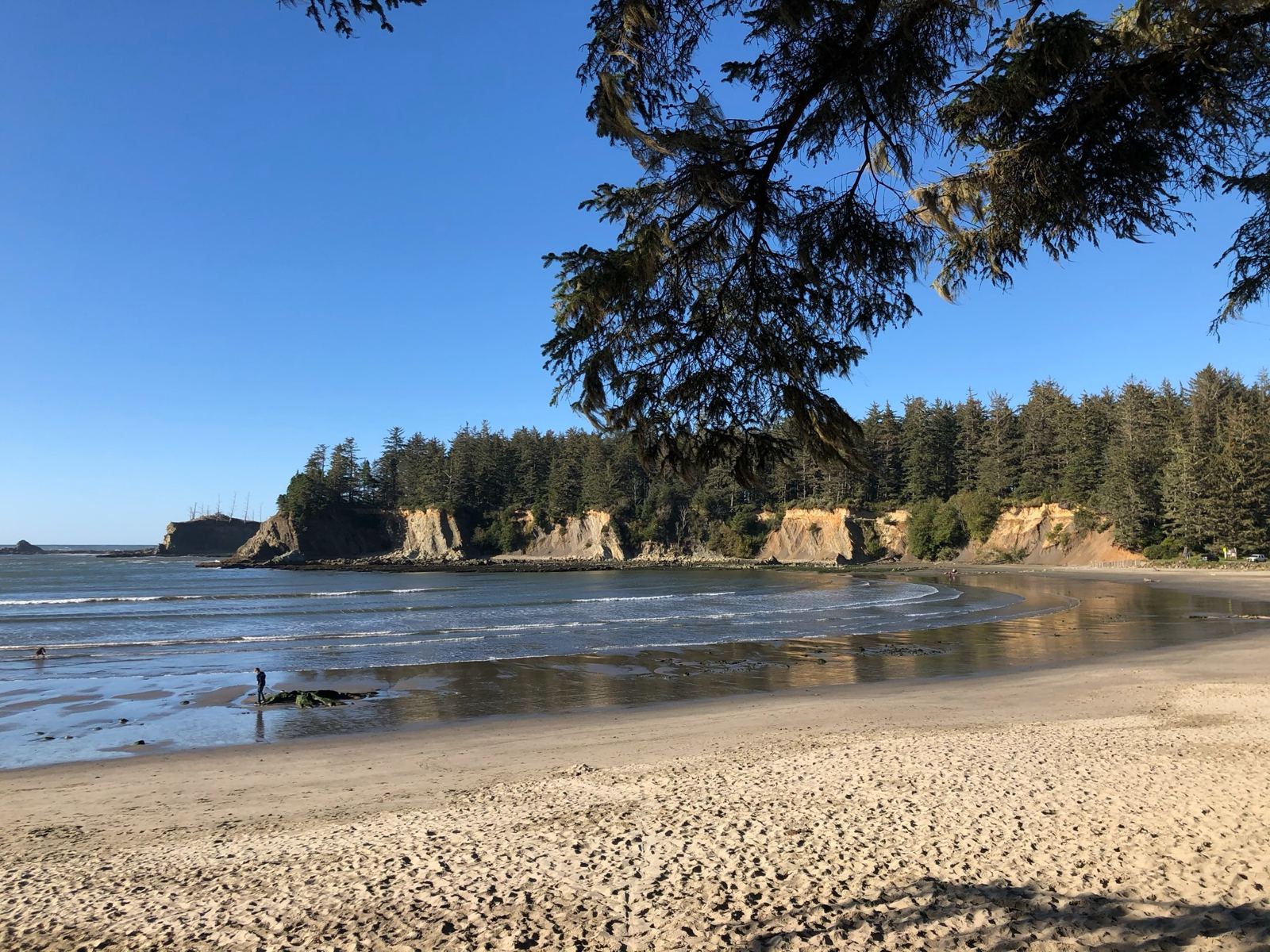 Coos Bay Coastline