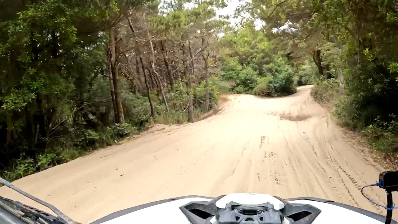 Oregon Dunes