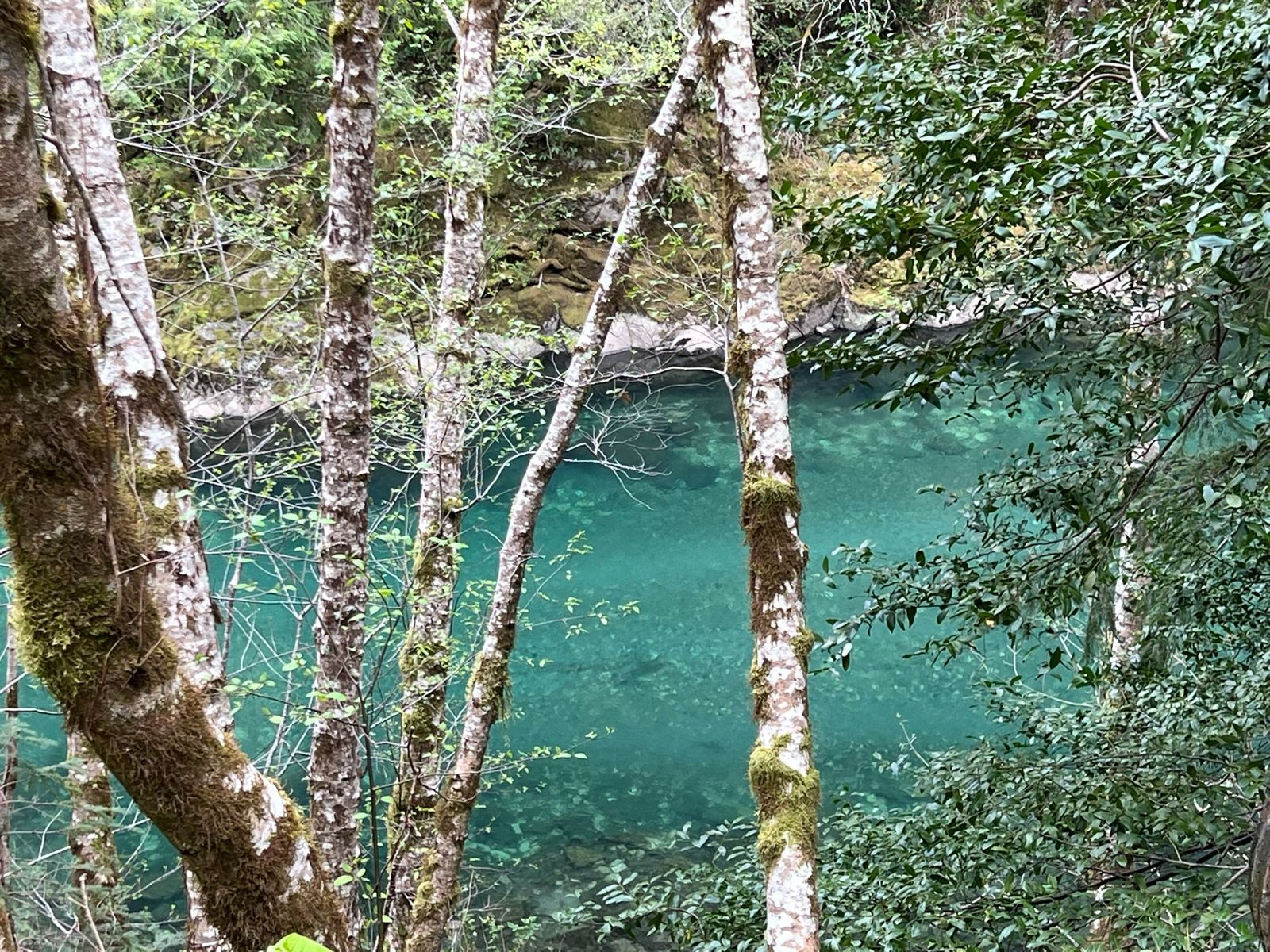 Elk River
