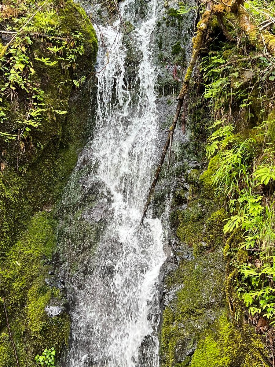Coastal Waterfall