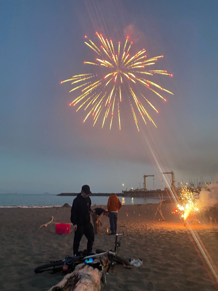 Beach Fireworks